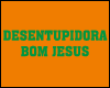 DESENTUPIDORA BOM JESUS logo