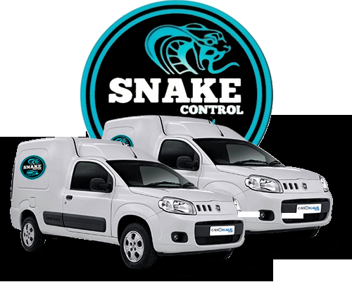 Desentupidora Snake logo