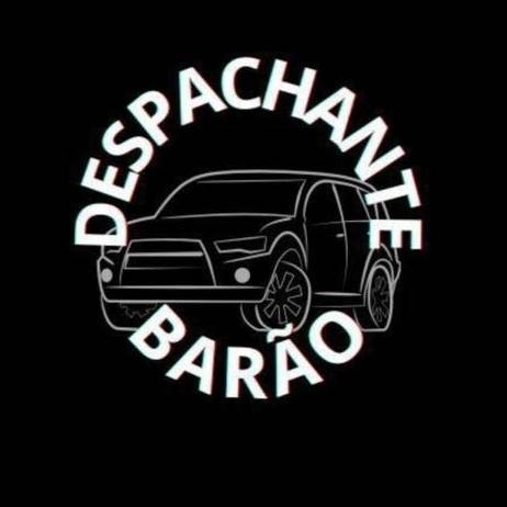 DESPACHANTE BARÃO GERALDO logo