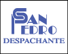 DESPACHANTE SAN PEDRO logo