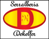 DEVANIR MARTINS COSTA SERRALHERIA - ME logo