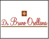 DR. BRUNO ORELLANA logo
