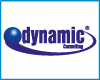 DYNAMIC CONSULTING logo
