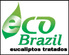 ECOBRAZIL EUCALIPTOS TRATADOS logo