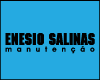 ENESIO SALINAS MANUTENCAO E ASSISTENCIA TECNICA