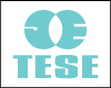 ENGENHARIA TESE TECNOLOGIA E SISTEMAS logo