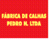 FÁBRICA DE CALHAS PEDRO N logo