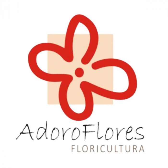 Floricultura Adoro Flores em Porto Alegre