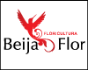 FLORICULTURA BEIJA FLOR logo