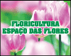 FLORICULTURA ESPACO DAS FLORES logo
