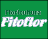 FLORICULTURA FITOFLOR