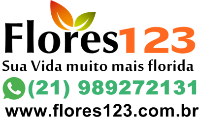 Floricultura Niterói 4119-2273