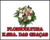 FLORICULTURA NOSSA SENHORA DAS GRACAS logo