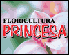 FLORICULTURA PRINCESA logo