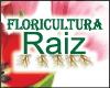 FLORICULTURA RAIZ