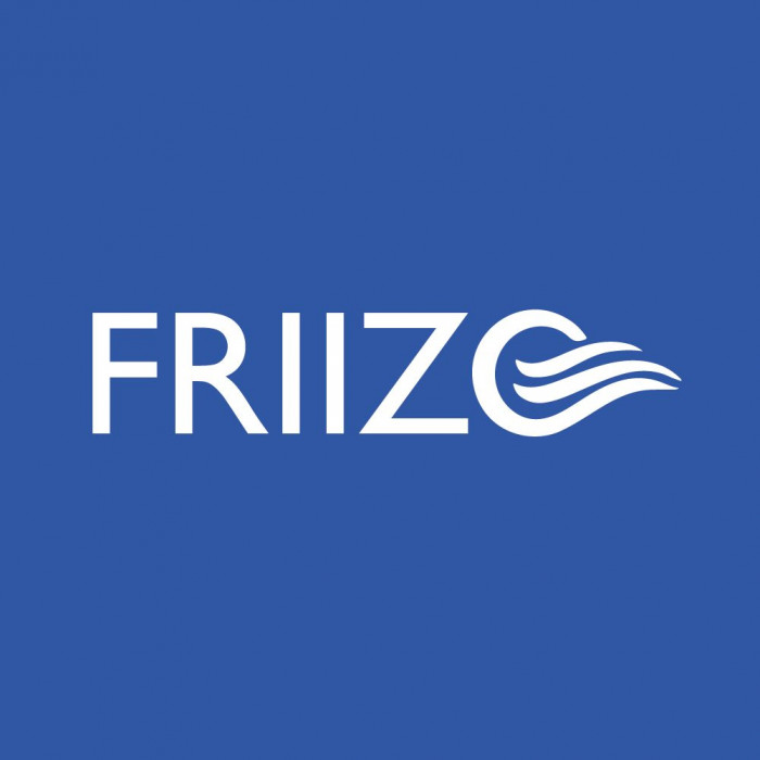 Friizo Brasil logo