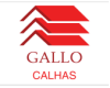 GALLO CALHAS