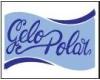 GELO POLAR logo