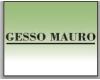 GESSO MAURO logo