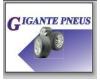 GIGANTE PNEUS logo