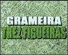 GRAMEIRA TREZ FIGUEIRAS logo