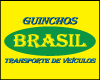 GUINCHOS BRASIL