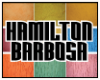 HAMILTON BARBOSA logo