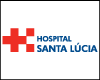 HOSPITAL SANTA LUCIA S/A logo