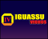 IGUASSU VIDROS logo
