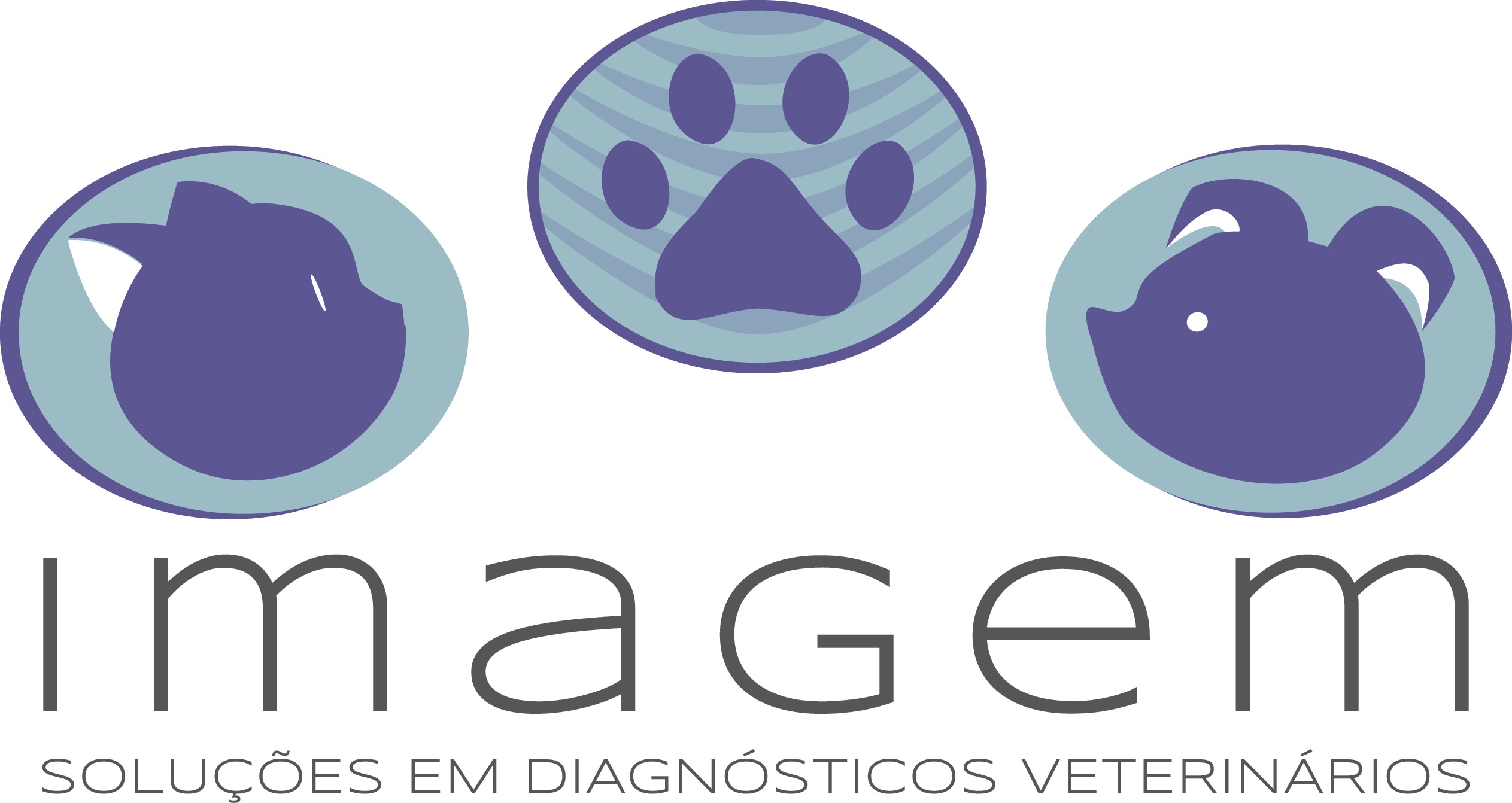 Imagem - Soluções em Diagnósticos Veterinários