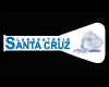 LABORATORIO DE ANALISES CLINICAS SANTA CRUZ S/C LTDA. logo
