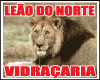 LEAO DO NORTE VIDRACARIA