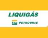 LIQUIGAS logo