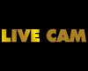LIVE CAM logo