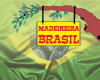 MADEIREIRA BRASIL logo