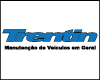 MECANICA TRENTIN logo