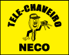 NECO TELE CHAVES logo