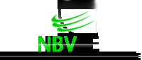 NBV PLANOS DE SAÚDE logo