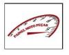 PAINEL MOTO PECAS logo