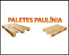 PALETES PAULINIA logo