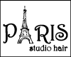 PARIS STUDIO HAIR logo