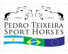 PEDRO TEIXEIRA SPORT HORSES