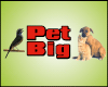 PET BIG BANHO E TOSA logo
