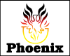 PHOENIX  INSURANCE logo