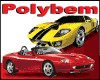 POLYBEM logo
