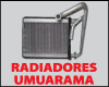RADIADORES UMUARAMA logo