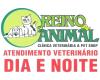 REINO ANIMAL CLÍNICA VETERINÁRIA DIA E NOITE logo