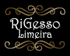RI GESSO logo