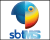 SBT MS logo
