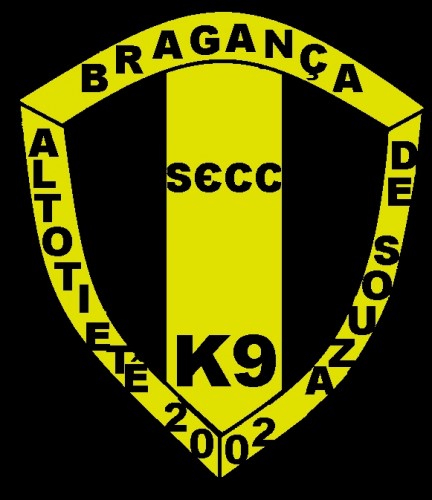SECCK9 logo